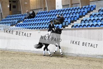 182241_kbb_01_Z094056.JPG