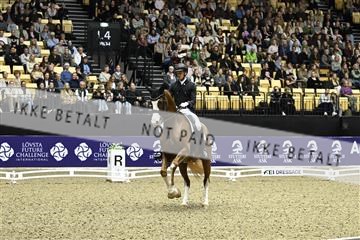 182194_kbb_03_Z092047.JPG