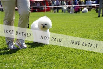 181564_kar_01__62_8001.JPG