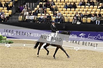 182194_kbb_03_Z091370.JPG
