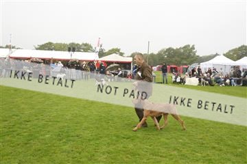 182009_kar_01__62_5632.JPG