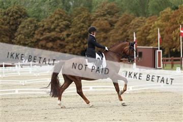 181923_mtp_03_R62_7336.JPG