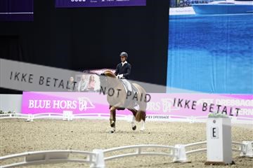 182194_avh_07_4031.JPG