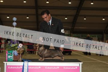 126168_se_02_IMG_0670.JPG