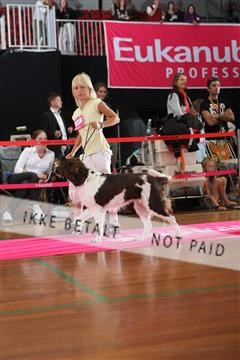6068_ma_05_IMG_5662.JPG