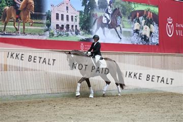 181887_mtp_02_R62_7775.JPG
