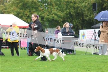 182009_rin_01_R62_7746.JPG