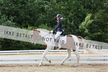 156196_nn_01_IMG_6279.JPG