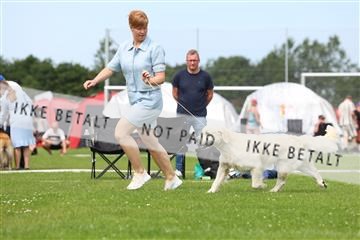181564_rin_02_R62_1578.JPG