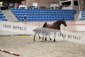 181754_kbb_01_Z093434.JPG