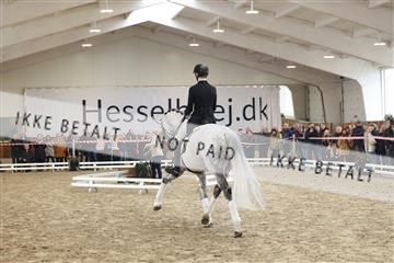 174363_kbb_01_R6II8773.JPG