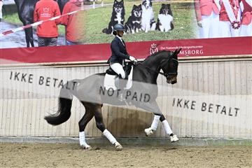 182241_kbb_01_Z095250.JPG