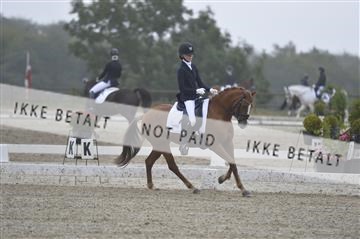 169624_kbb_01__KBB8047.JPG
