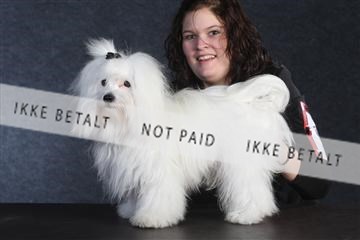 132082_le_ 01_IMG_0286.JPG