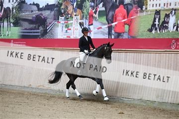 181887_mtp_01_R62_6703.JPG