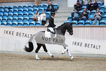 181887_mtp_04_R62_8788.JPG