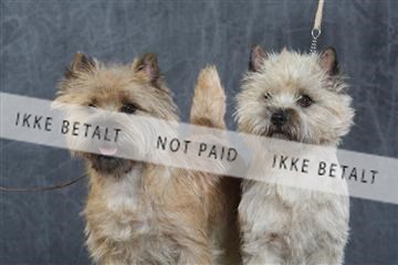 130054_le_ 03_0065.JPG