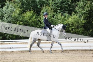 156196_nn_01_IMG_6117.JPG