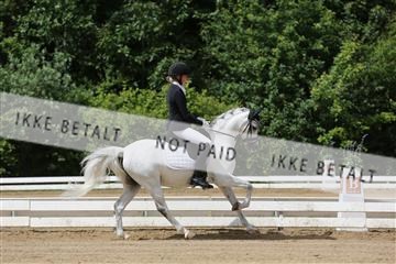 156196_nn_01_IMG_5832.JPG