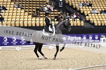 182194_kbb_03_Z099833.JPG