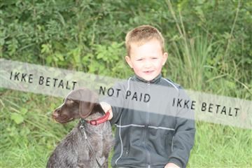 130370_se_02_IMG_5517.JPG
