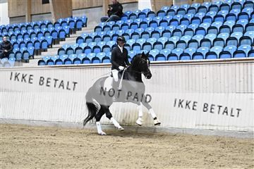 182241_kbb_01_Z094430.JPG