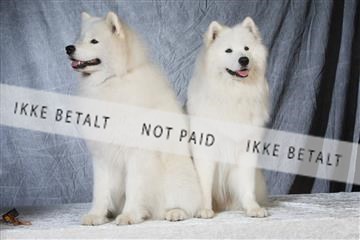 6068_ma_04_IMG_5038.JPG