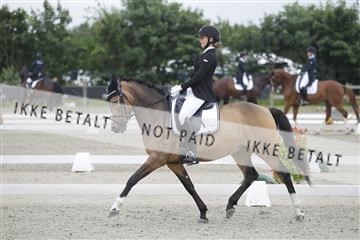 166078_rhj_01__J7R3903.JPG