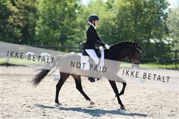 168732_mtp_01_3M5A6512.JPG