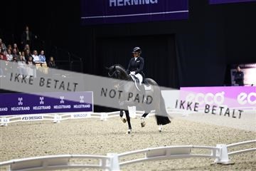 182194_avh_06_3674.JPG