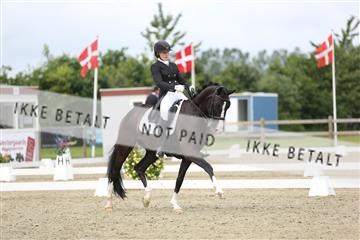 156196_nn_01_IMG_5414.JPG