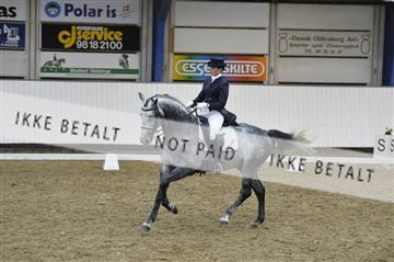140040_abo_02__AB19635.JPG