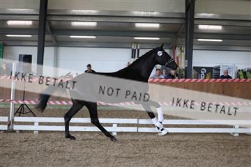 181756_mtp_01_R62_1487.JPG