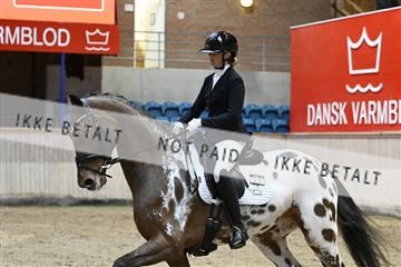 182241_kbb_01_Z093173.JPG