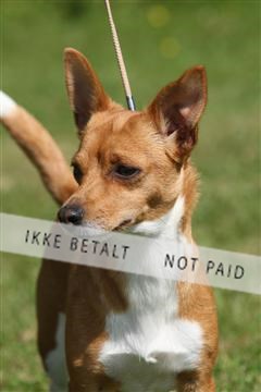 130370_se_03_IMG_6984.JPG