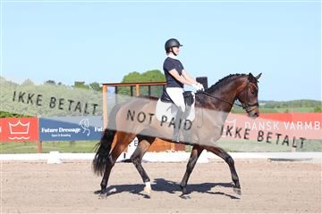 181449_bc_01R62_6220.JPG