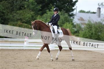 156196_nn_01_IMG_6309.JPG