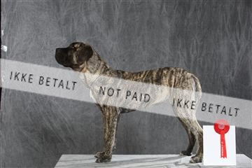 130054_le_ 03_0168.JPG