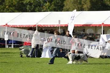 182009_kar_01__62_7332.JPG