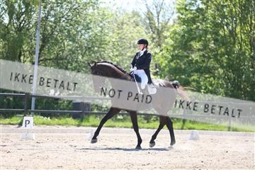 168732_mtp_01_3M5A7160.JPG