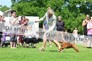 181564_rin_02_R62_2679.JPG