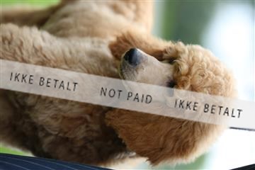 182009_rin_01_R62_6468.JPG