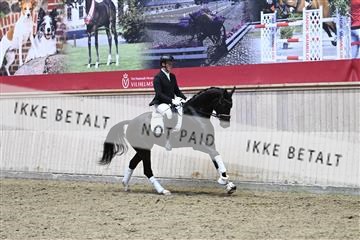 182241_kbb_01_Z093639.JPG