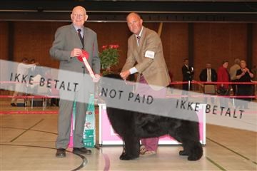 124188 _tl_02_IMG_9701.JPG