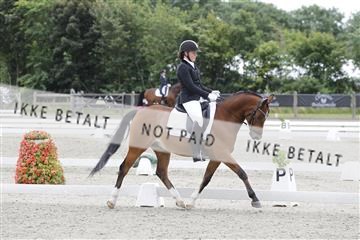 166078_rhj_01__J7R3456.JPG