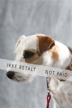 129608_le_ 02_0049.JPG