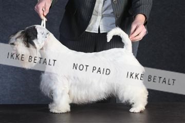 132082_le_ 01_IMG_0326.JPG