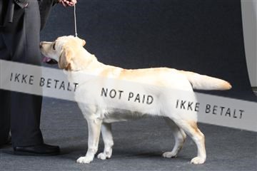 132082_le_ 01_IMG_1438.JPG