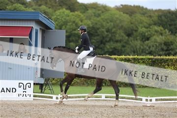 181957_mtp_01_3M5A7781.JPG