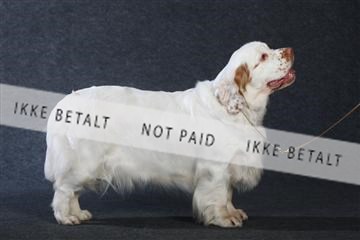 132082_le_ 01_IMG_1011.JPG